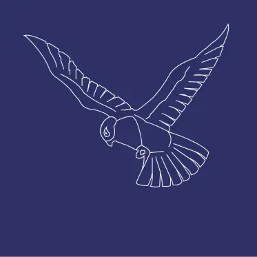 Westmanstown_Logo-outline-01-scaled-373x373